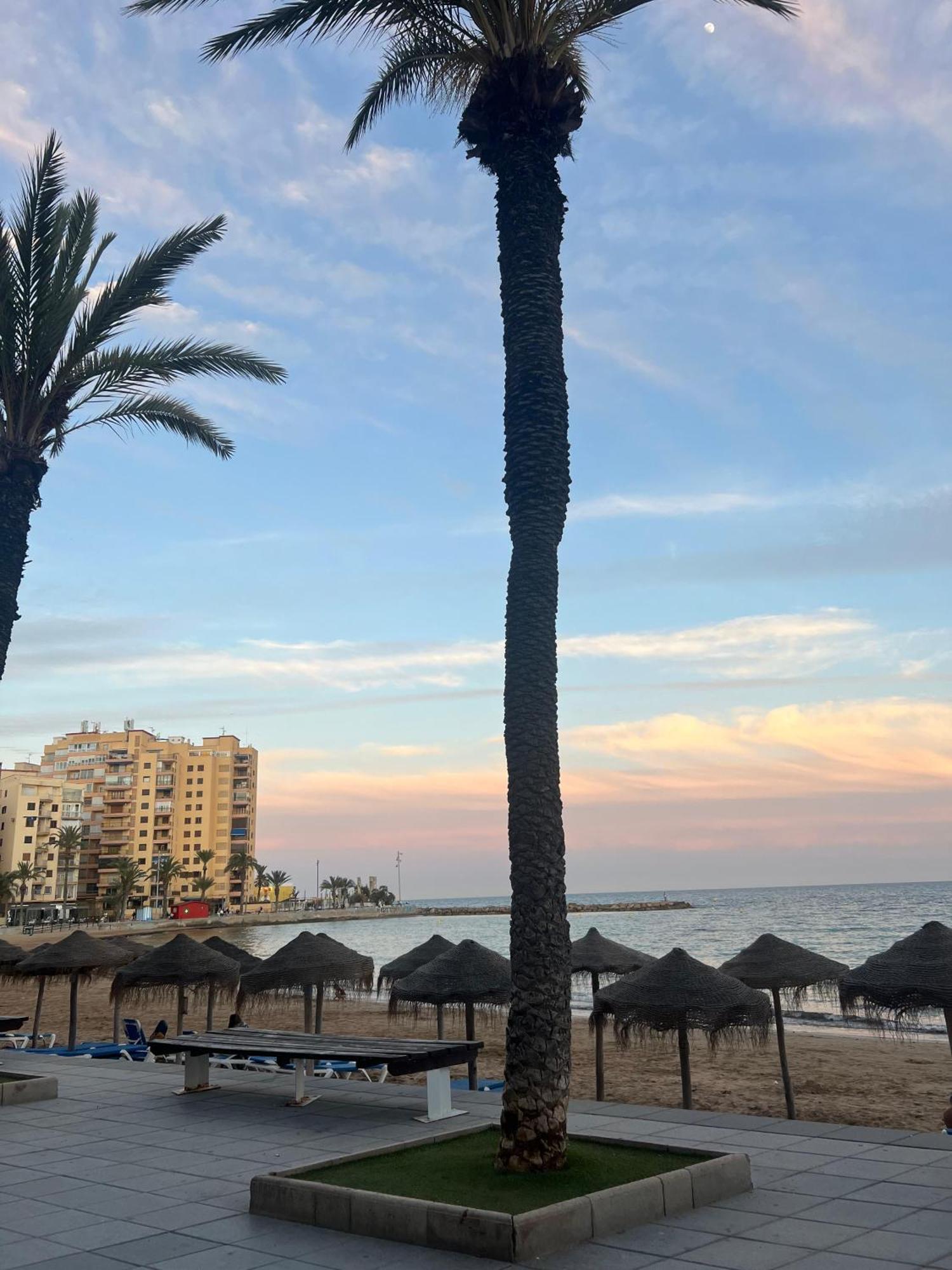 Appartement Torrevieja Alicante Ngoại thất bức ảnh