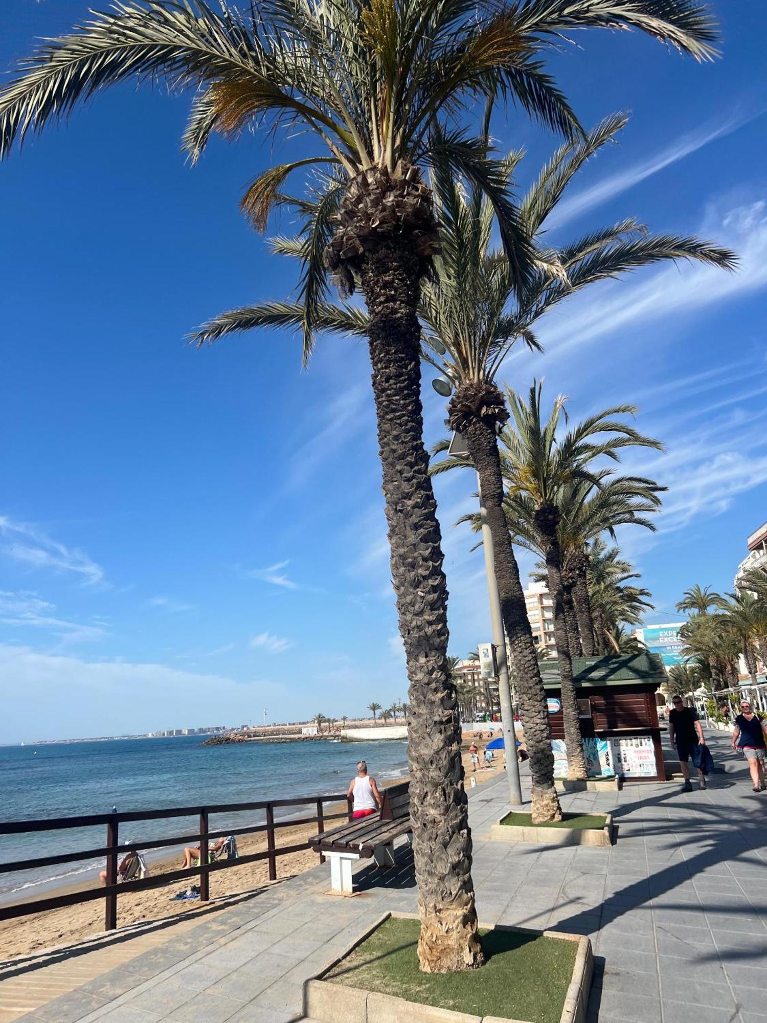 Appartement Torrevieja Alicante Ngoại thất bức ảnh